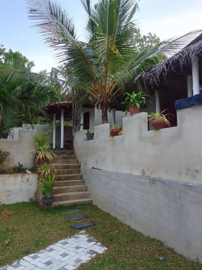 Peacock Garden Bed and Breakfast Tangalle Εξωτερικό φωτογραφία