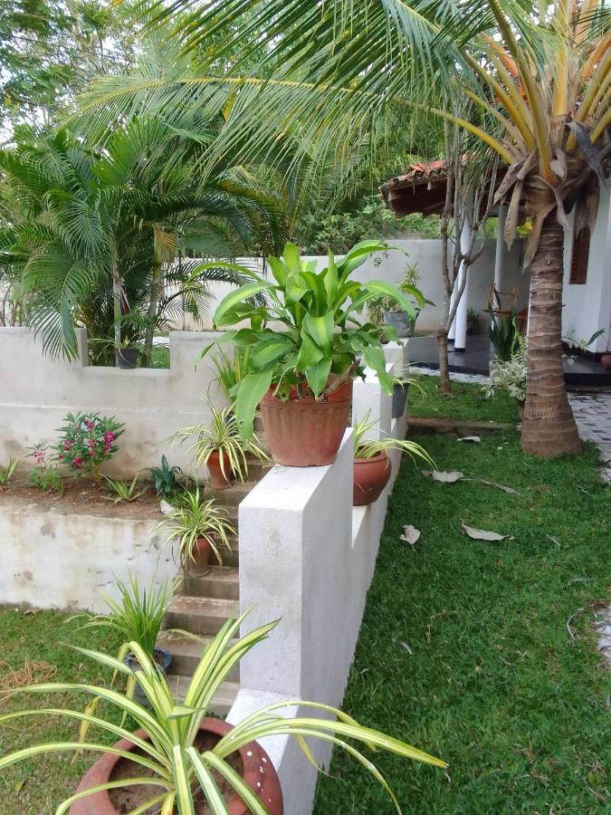 Peacock Garden Bed and Breakfast Tangalle Εξωτερικό φωτογραφία