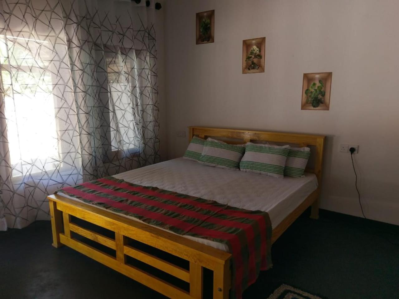 Peacock Garden Bed and Breakfast Tangalle Εξωτερικό φωτογραφία
